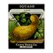 Stupell Industries Vintage Garden Squash Canvas Design by Lil' Rue